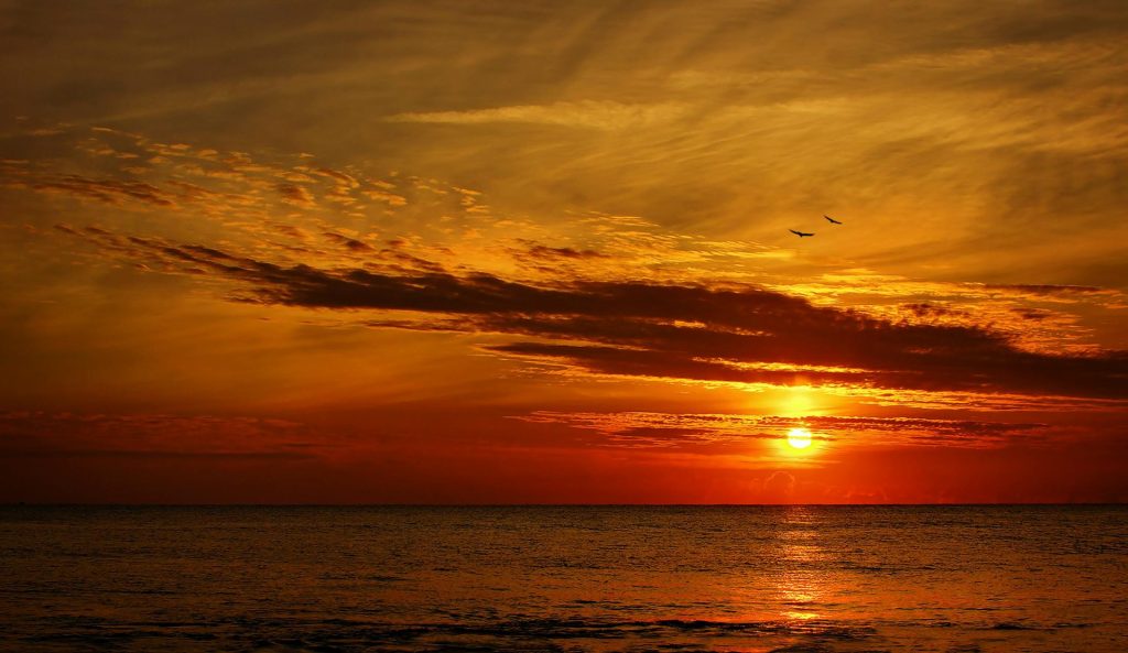 Un coucher de soleil à couper le souffle sur la mer, avec des teintes orangées éclatantes et des oiseaux en vol qui se découpent en silhouette.